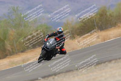 media/Sep-10-2022-SoCal Trackdays (Sat) [[a5bf35bb4a]]/Turn 6 (1140am)/